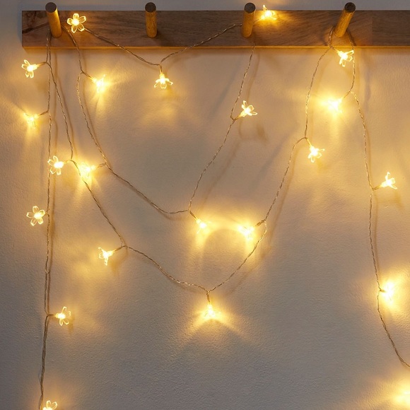 Fp Daisy String Lights